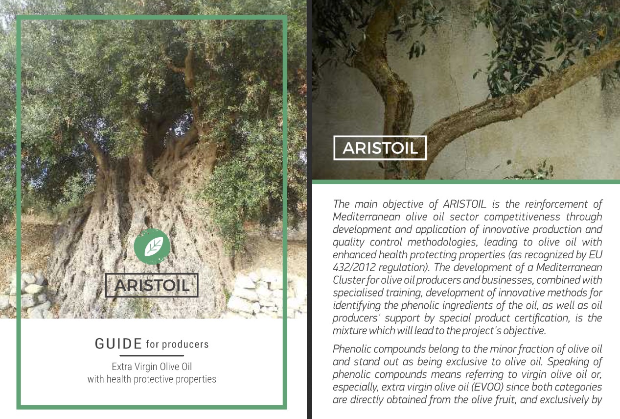 Important tools and guidelines for producers and olive oil sector key players